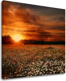 Obraz na stenu KRAJINA