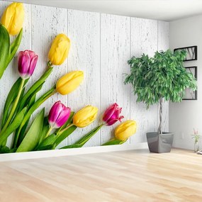 Fototapeta Vliesová Žlté tulipány 312x219 cm