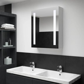 LED kúpeľňová zrkadlová skrinka 50x13x70 cm