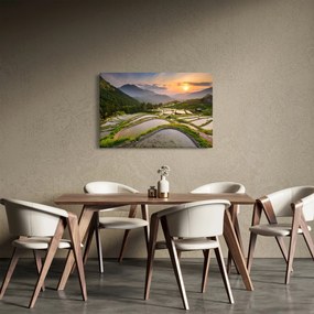Obraz - Ryžové terasy (90x60 cm)