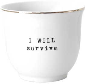 Bella Rose Porcelánový obal na kvetináč I will survive 13 cm