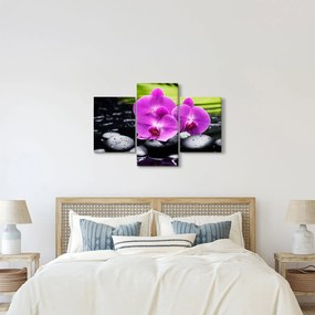 Obraz - Orchidey (90x60 cm)