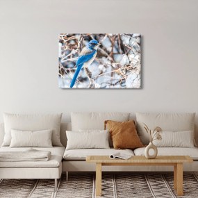 Obraz - Zimný vtáčik (90x60 cm)