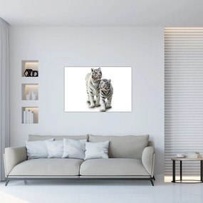 Obraz - Biely tiger (90x60 cm)