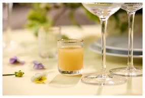 Štamperlíky v súprave 4 ks 60 ml Palermo – Lyngby Glas