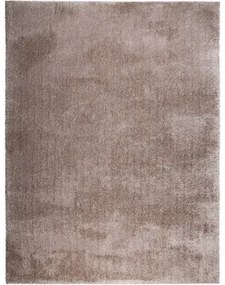 Shaggy Wellness taupe 300x400 cm