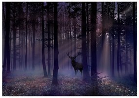 Samolepiaca fototapeta Mystical Forest