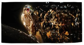 Sablio Uterák Dravec - 50x100 cm