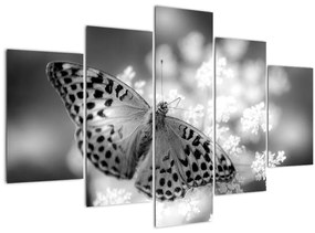Obraz - Detail motýľa opeľujúceho kvet (150x105 cm)