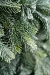 Limpol Kanadská zasnežená  borovica 1,70 m