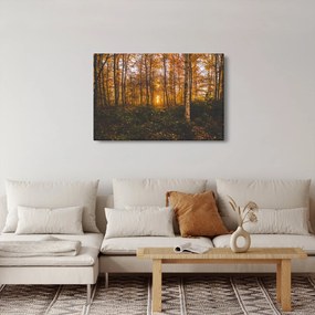 Obraz jesenného lesa (90x60 cm)