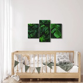 Obraz listov Monstery (90x60 cm)