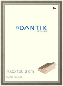 DANTIK rám na obraz 70x100 | AMALFI zelená (Plexi Čiré)