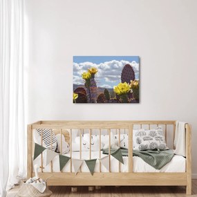 Obraz opuncie (70x50 cm)
