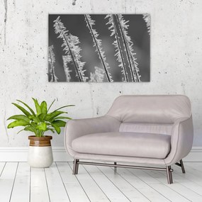 Obraz - Mrazivá zima (90x60 cm)