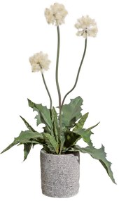 Gasper Umelý kvet Bodliak biely, 55 cm