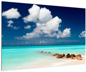 Obraz - Tropická pláž (90x60 cm)