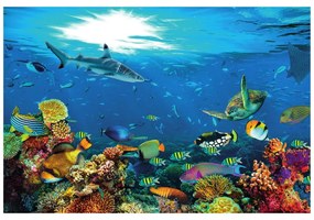 Samolepiaca fototapeta podvodný svet