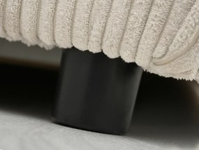 Pohovka dvojsedačka Nazismo (béžová + čierna). Akcia -20%. Vlastná spoľahlivá doprava až k Vám domov. 1136915