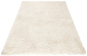 Hanse Home, Kusový koberec Venice 102571, 80x150, biela, kancelária
