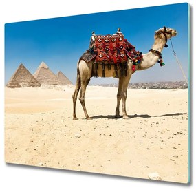 Sklenená doska na krájanie Camel v káhire 60x52 cm