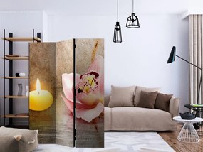 Artgeist Paraván - Romantic evening [Room Dividers]