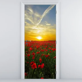 Fototapeta na dvere - Pole vlčích makov (95x205cm)