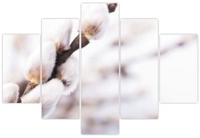Obraz - Vetva mačičky (150x105 cm)