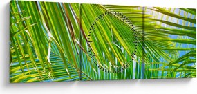 Obraz - Palmové listy (s hodinami) (90x30 cm)