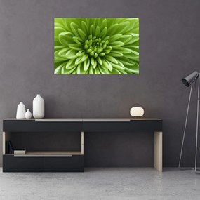 Obraz - Makro snímka rastliny (90x60 cm)