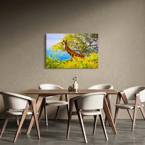 Obraz žirafy v Afrike (90x60 cm)