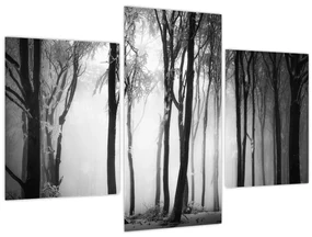 Obraz - Vlk v temnom lese (90x60 cm)