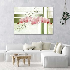 Obraz na plátně Růžové květinové orchideje - 60x40 cm