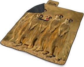 Sablio Plážová deka Surikaty: 200x140 cm