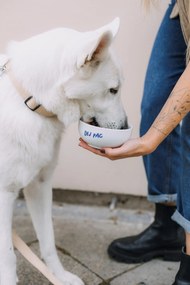 Bella Rose Porcelánová miska Dej pac  450 ml