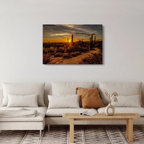 Obraz - Koniec dňa v arizonskej púšti (90x60 cm)