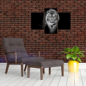 Obraz - Tiger so žltými očami (90x60 cm)