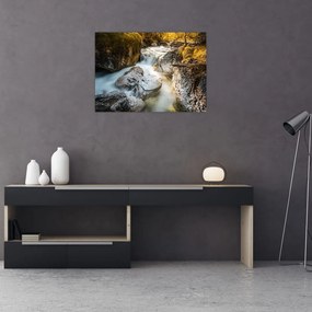 Sklenený obraz - Lesný potok (70x50 cm)
