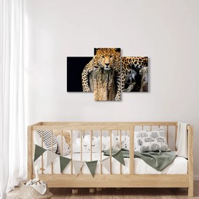 Obraz - Gepard (90x60 cm)