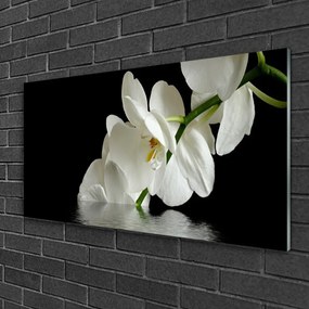 Skleneny obraz Orchidea vo vode kvety 100x50 cm