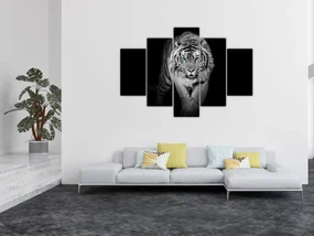 Obraz - Tiger s modrými očami (150x105 cm)