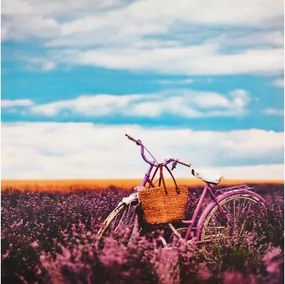 Obraz na plátne Bicykel v levanduli, 50x50 cm%