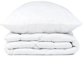 4Home Set prikrývky a vankúša Aloe Vera, 140 x 200 cm, 70 x 90 cm, 140 x 200 cm, 70 x 90 cm