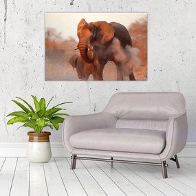 Obraz - Veľký slon africký (90x60 cm)