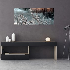 Obraz - Zamrznutá lúka (120x50 cm)