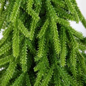 Vianočný stromček HECTOR zelený 714412