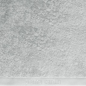 Dekorstudio Bavlnený uterák PIERRE CARDIN - strieborný Rozmer uteráku: 50x90cm