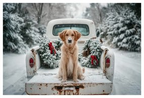 Obraz vianočný pes na zasneženej ceste