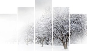 Obraz - Zimná alej (150x105 cm)