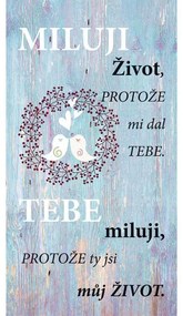 Bohemia Gifts Dekoračný obraz Milujem život, 20 x 40 cm
